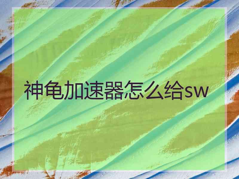 神龟加速器怎么给sw