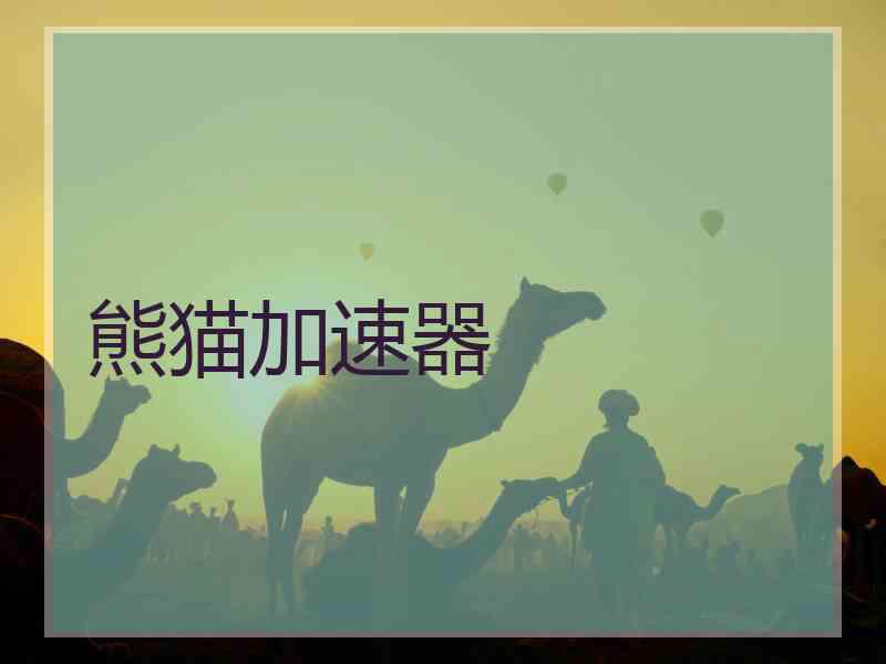 熊猫加速器
