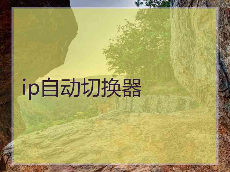 ip自动切换器