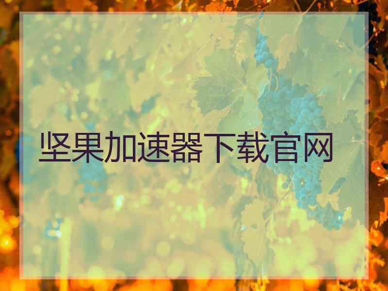 坚果加速器下载官网