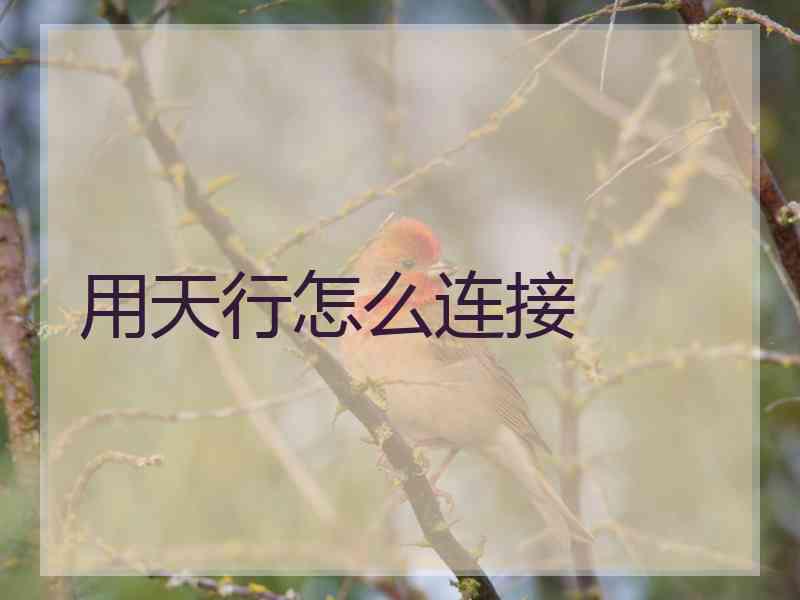 用天行怎么连接