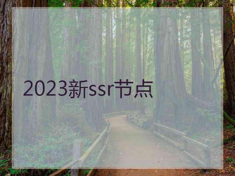 2023新ssr节点
