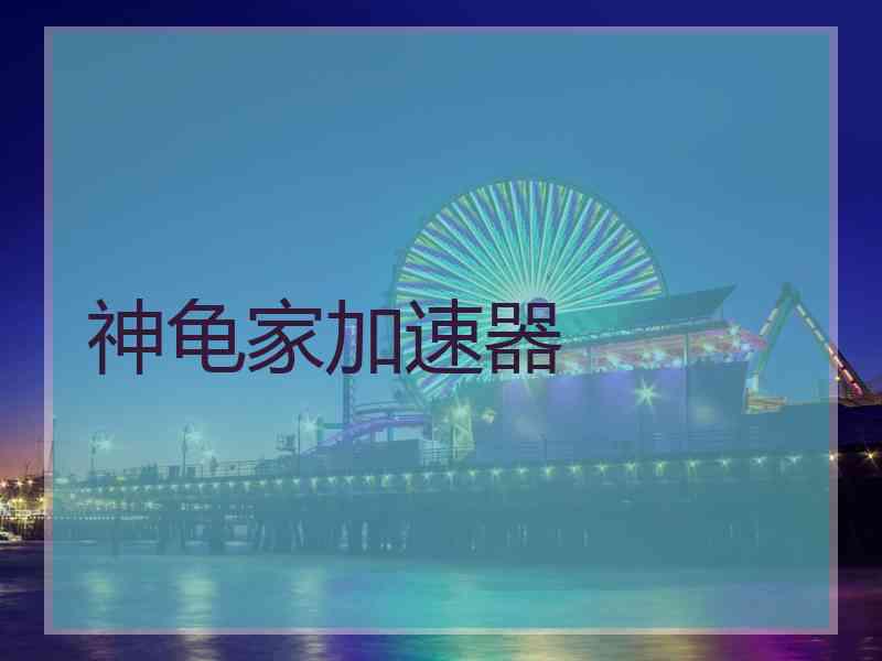 神龟家加速器