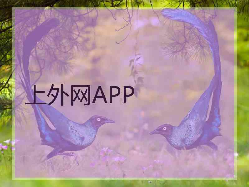上外网APP