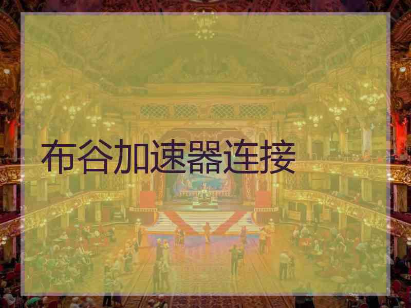 布谷加速器连接