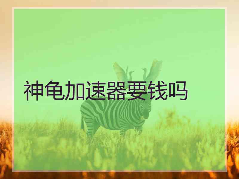 神龟加速器要钱吗