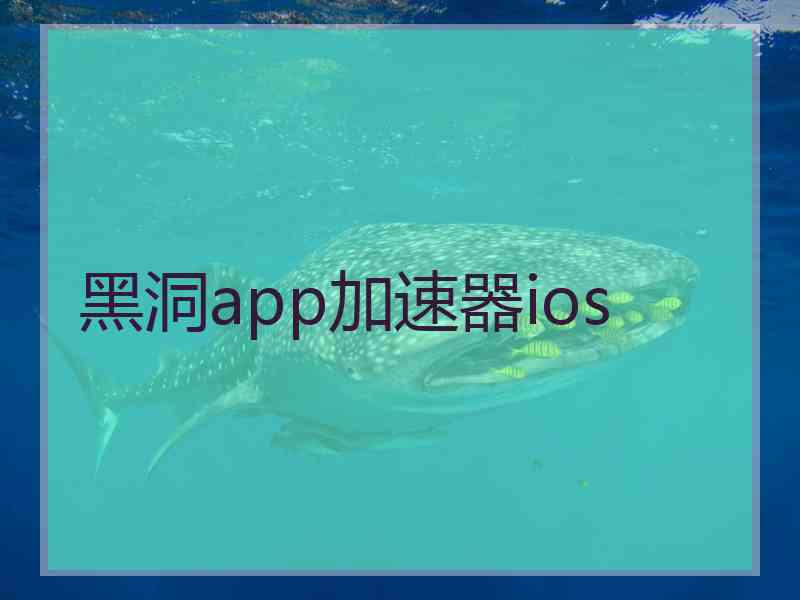 黑洞app加速器ios