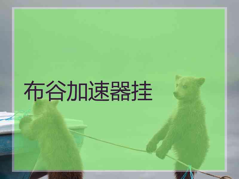 布谷加速器挂