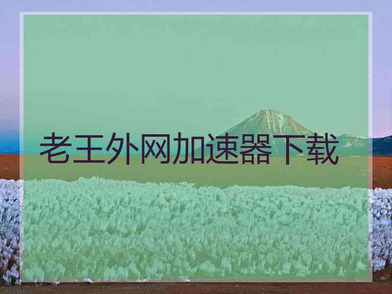 老王外网加速器下载