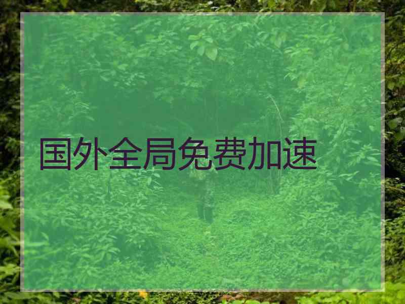 国外全局免费加速