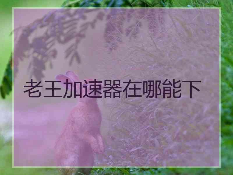 老王加速器在哪能下