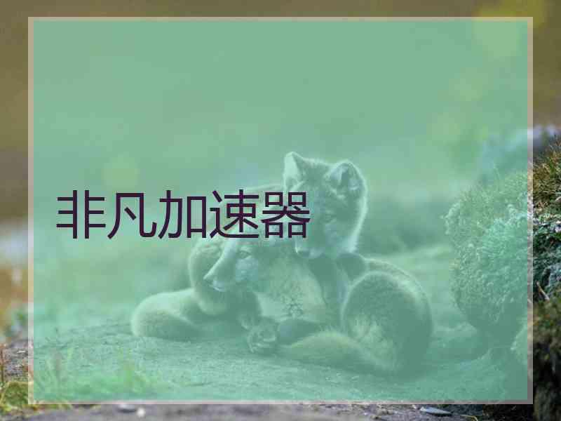 非凡加速器