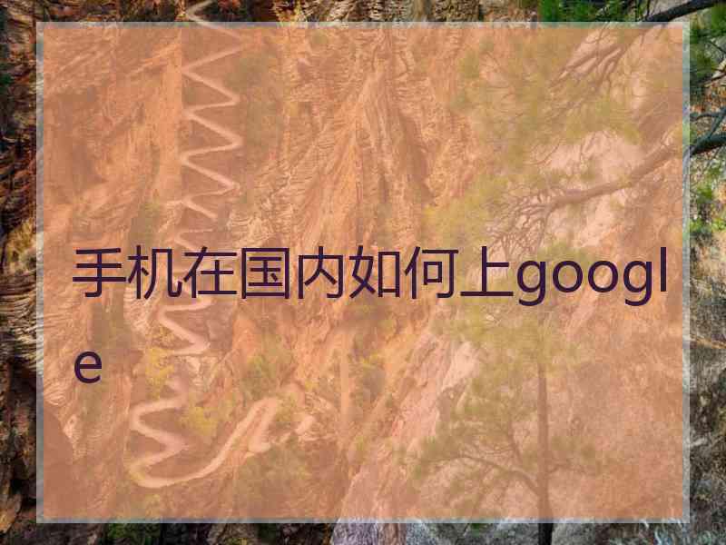手机在国内如何上google