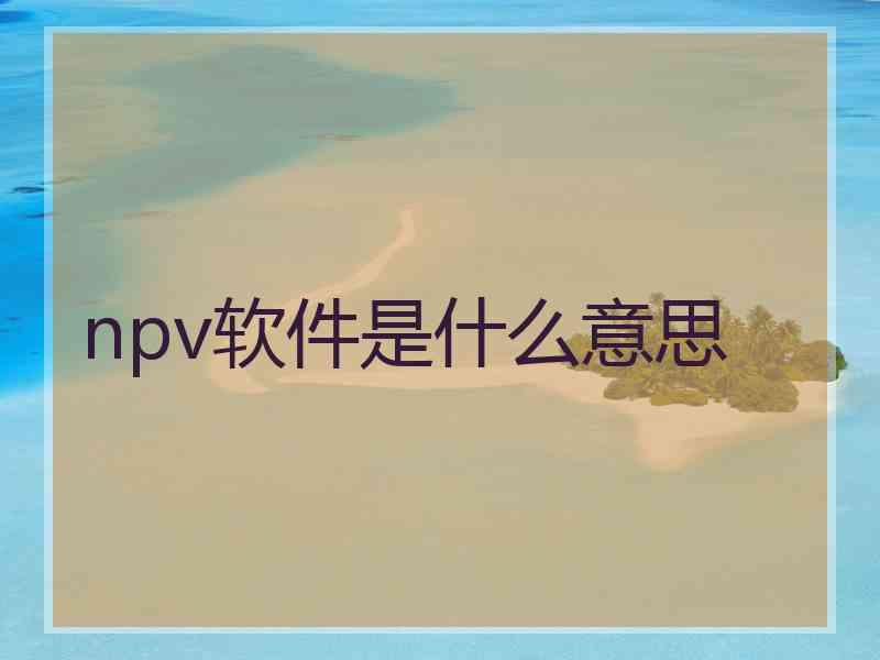npv软件是什么意思