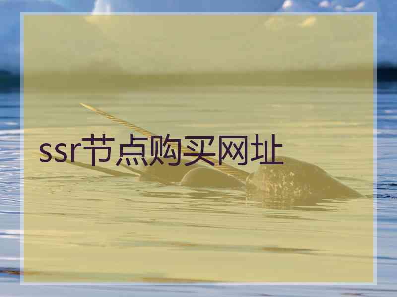 ssr节点购买网址
