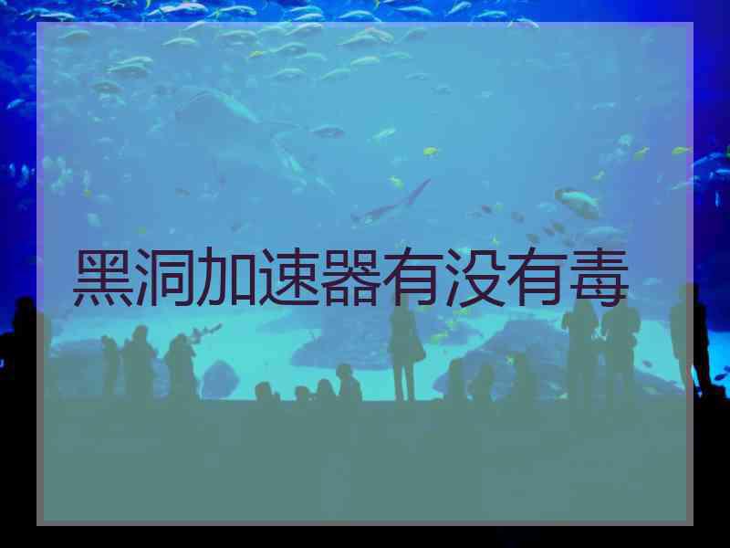 黑洞加速器有没有毒