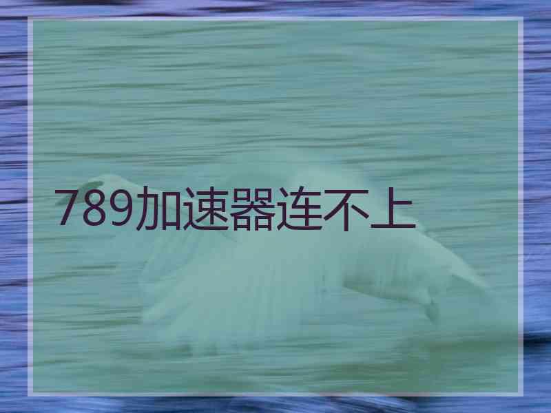 789加速器连不上
