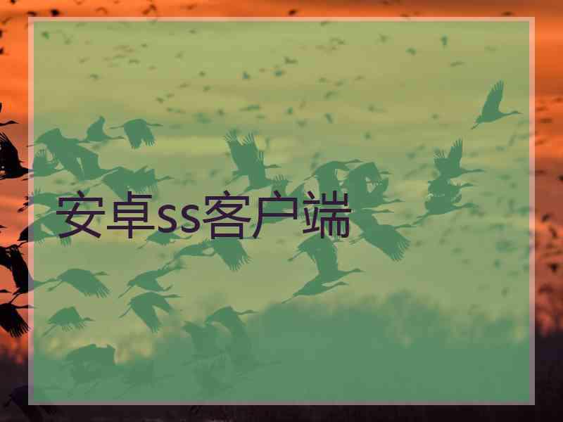 安卓ss客户端