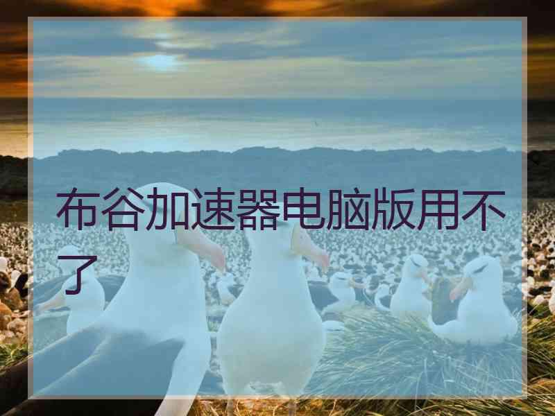 布谷加速器电脑版用不了
