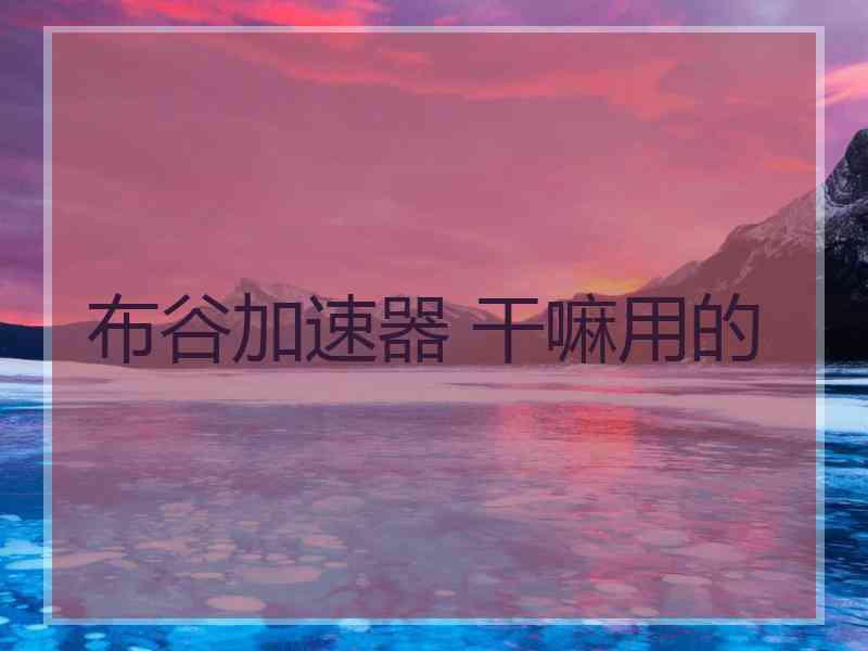 布谷加速器 干嘛用的