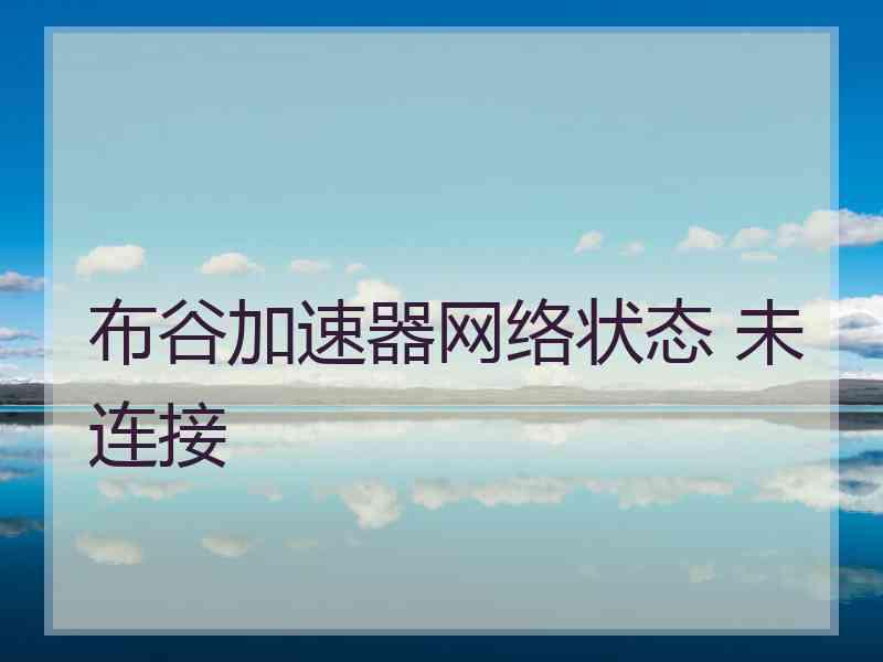 布谷加速器网络状态 未连接