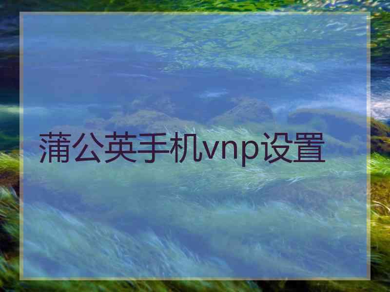 蒲公英手机vnp设置