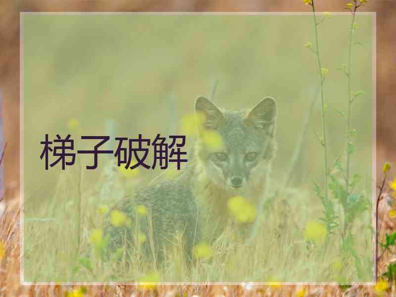 梯子破解