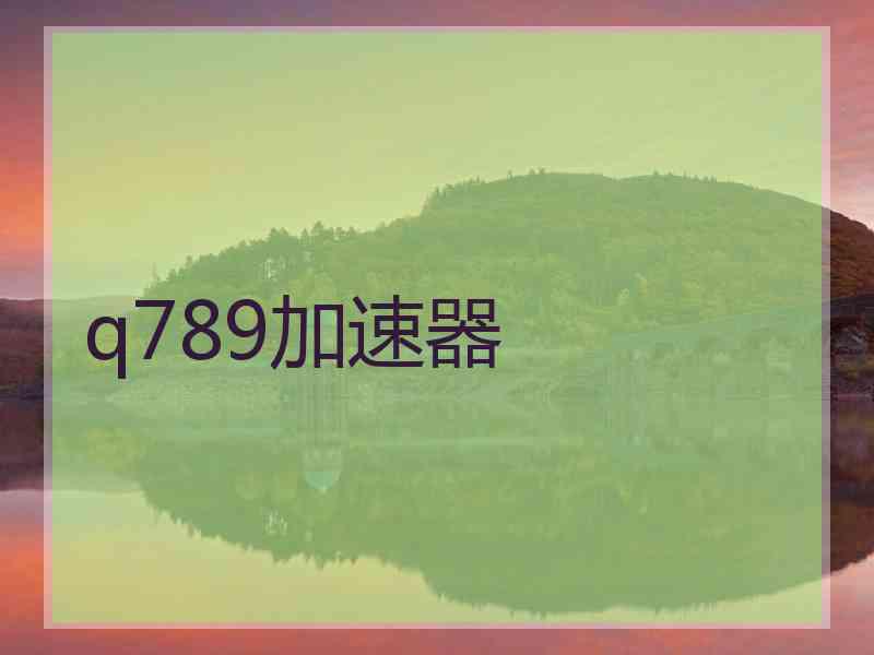 q789加速器