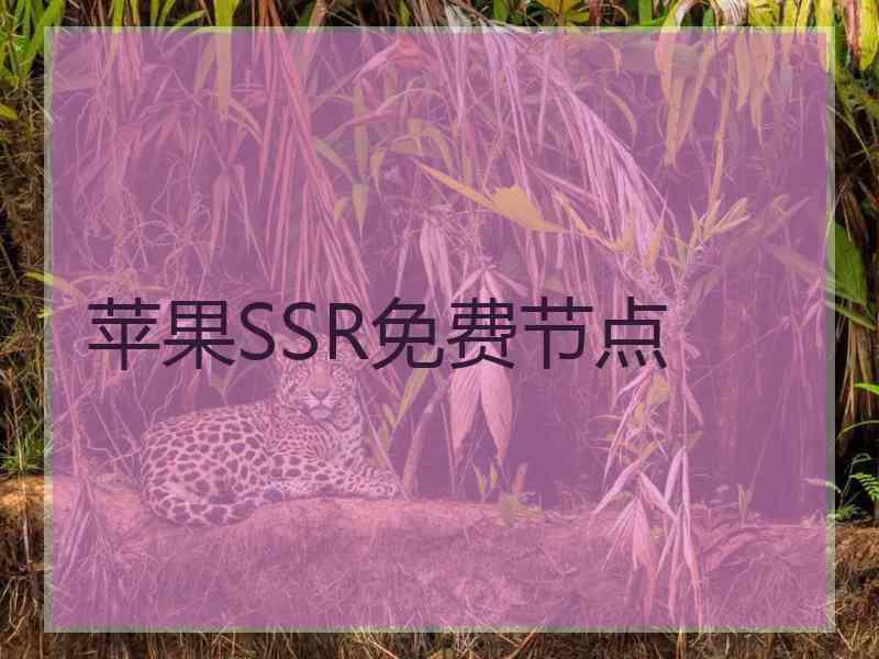 苹果SSR免费节点
