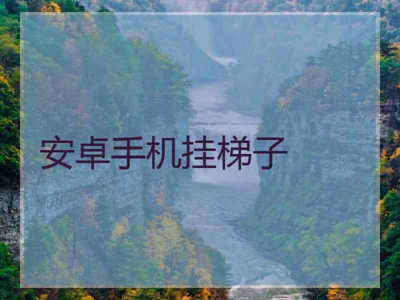 安卓手机挂梯子