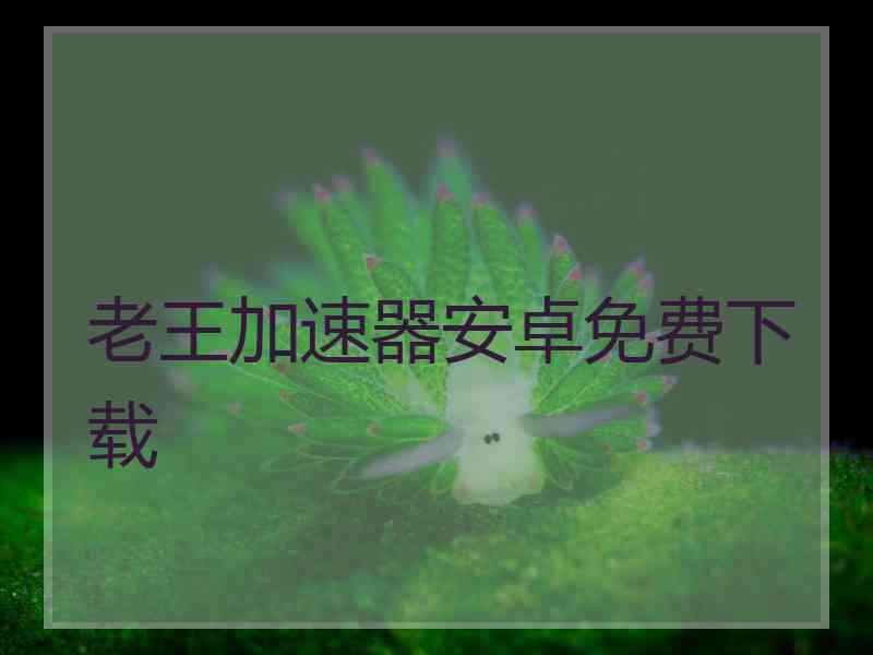 老王加速器安卓免费下载