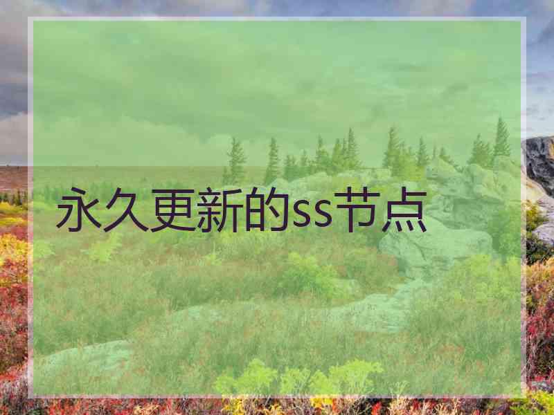 永久更新的ss节点