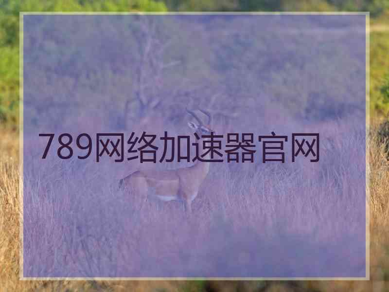 789网络加速器官网