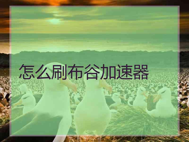 怎么刷布谷加速器