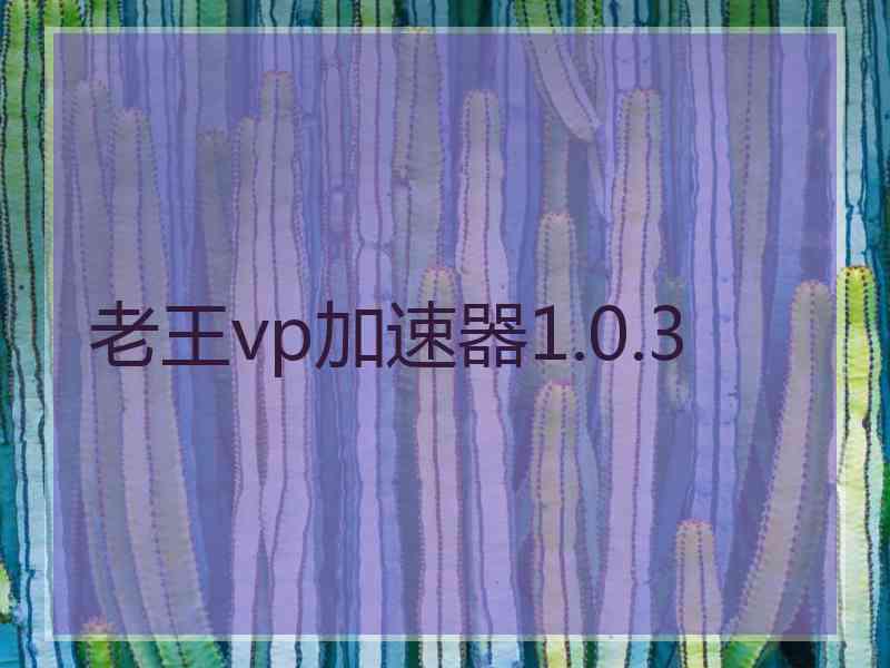 老王vp加速器1.0.3