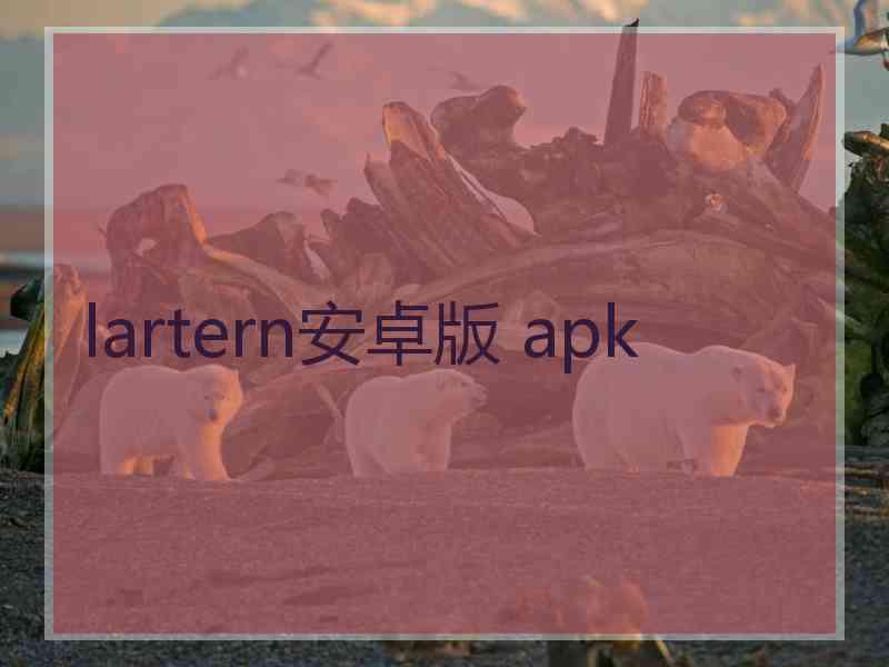 lartern安卓版 apk