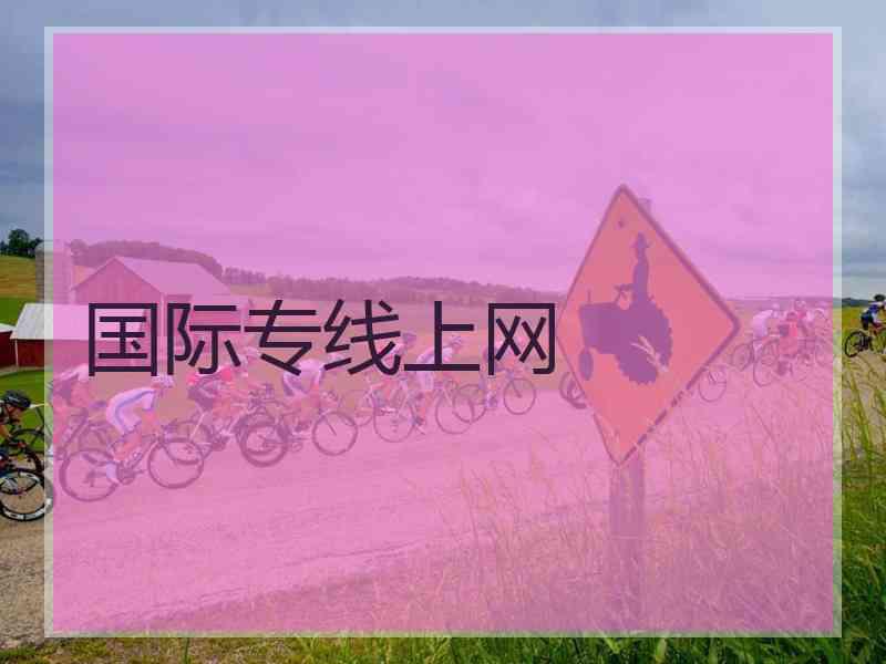 国际专线上网