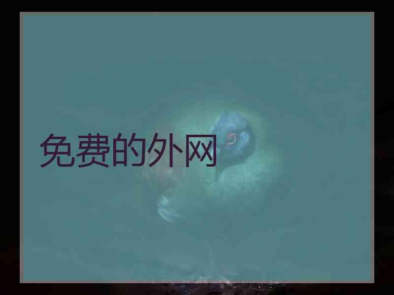 免费的外网