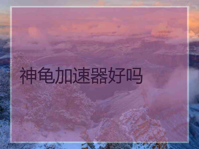 神龟加速器好吗