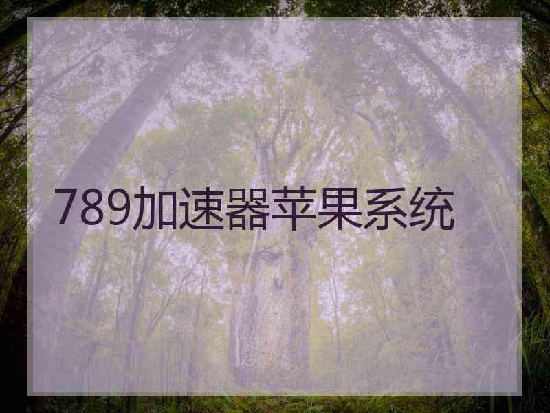 789加速器苹果系统