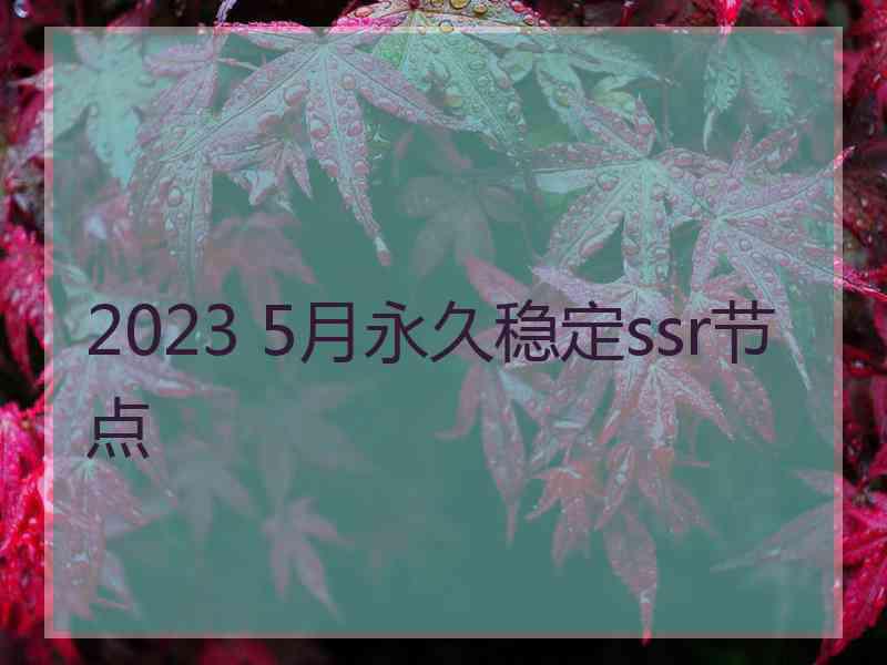 2023 5月永久稳定ssr节点