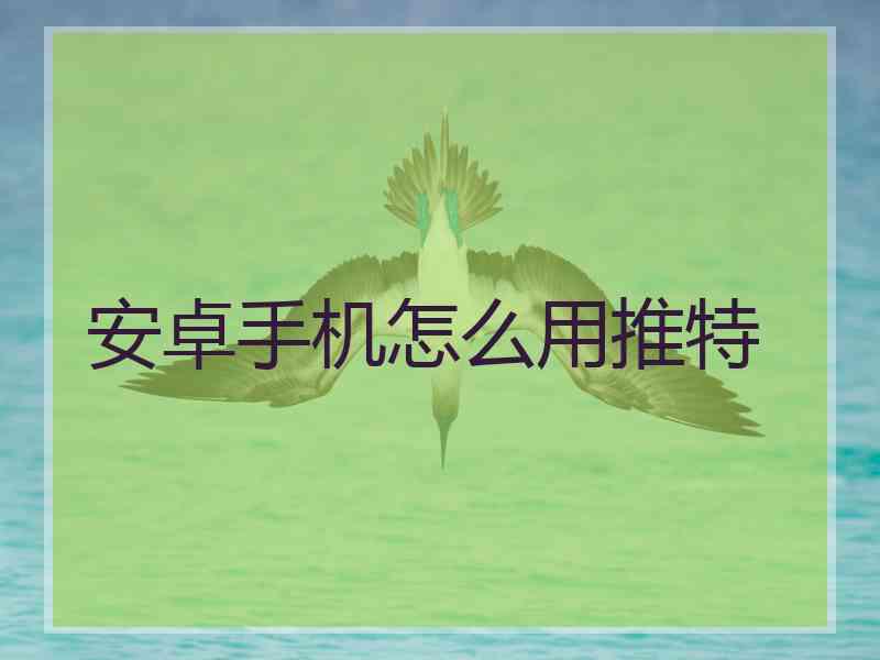 安卓手机怎么用推特