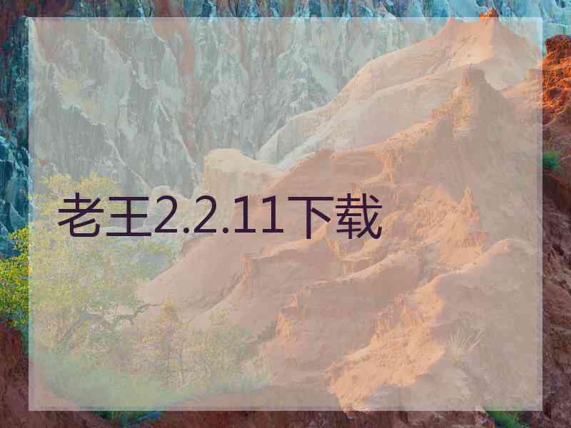 老王2.2.11下载
