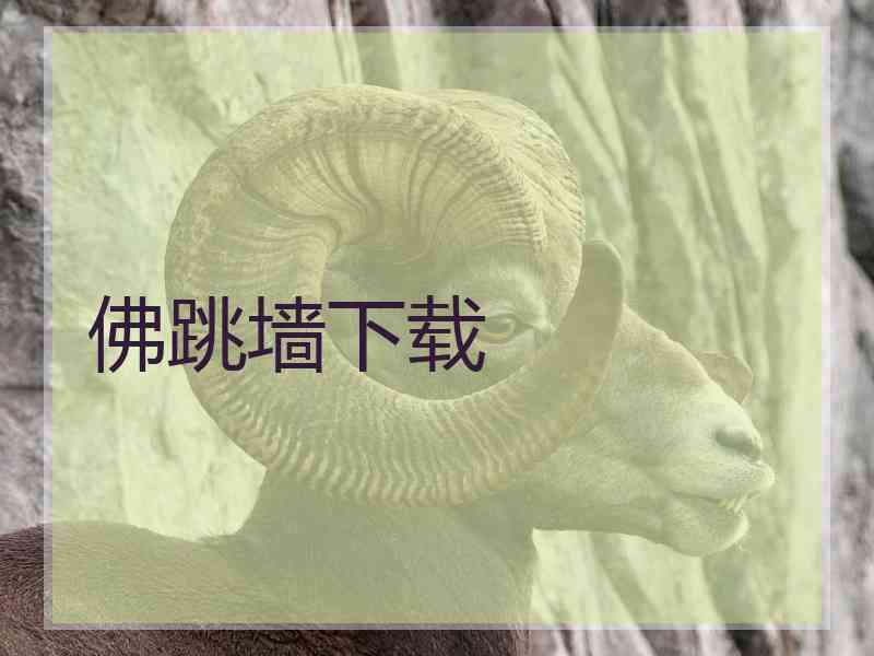 佛跳墙下载