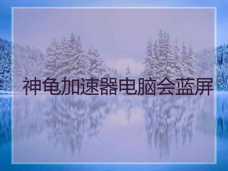 神龟加速器电脑会蓝屏