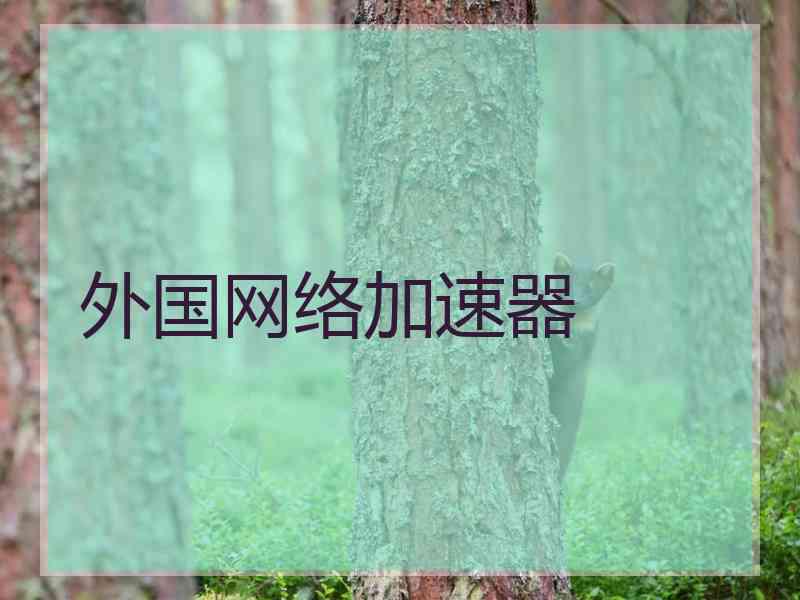 外国网络加速器