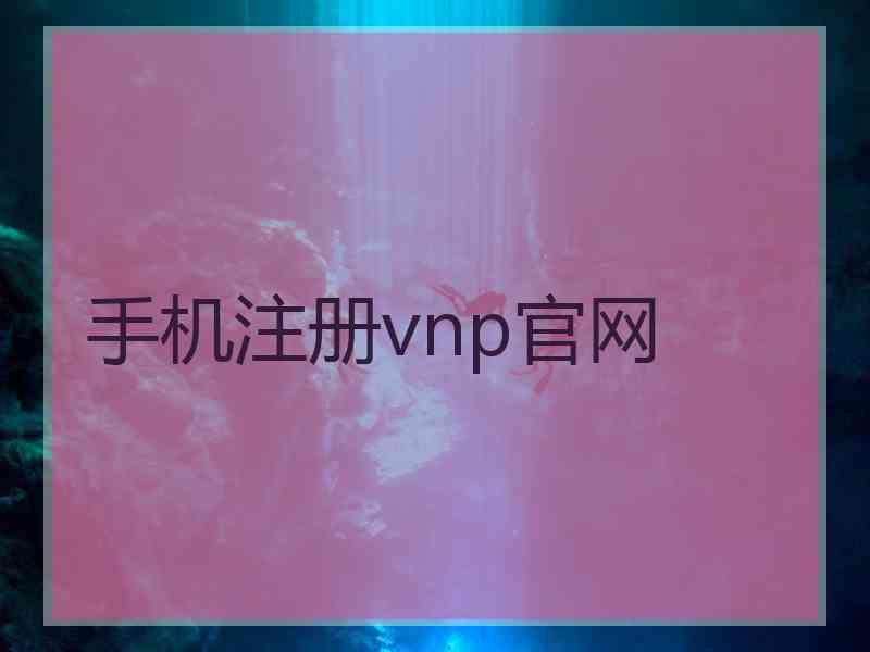 手机注册vnp官网