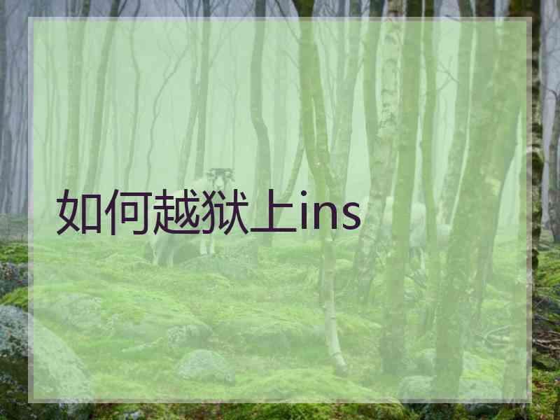 如何越狱上ins