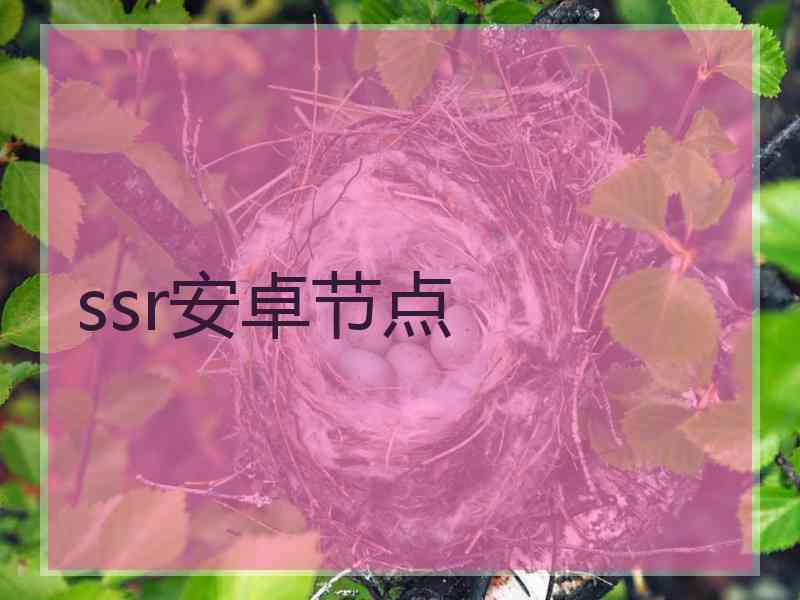 ssr安卓节点