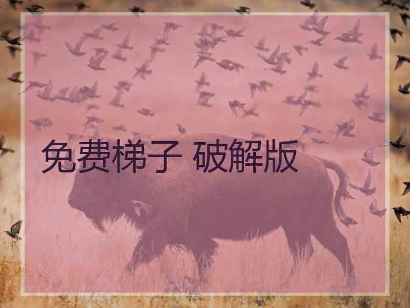 免费梯子 破解版